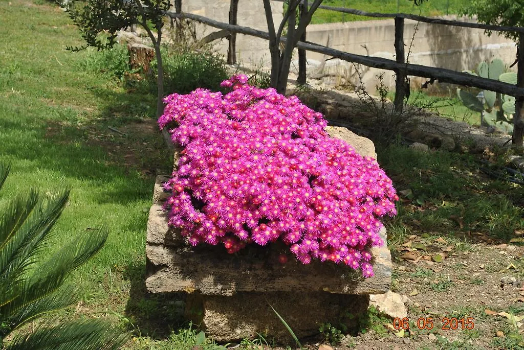 Al Palmento Cruillas Syracuse Bed & Breakfast